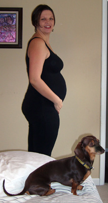My belly at 30 weeks